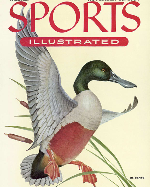 41493 - TOC Cover Image